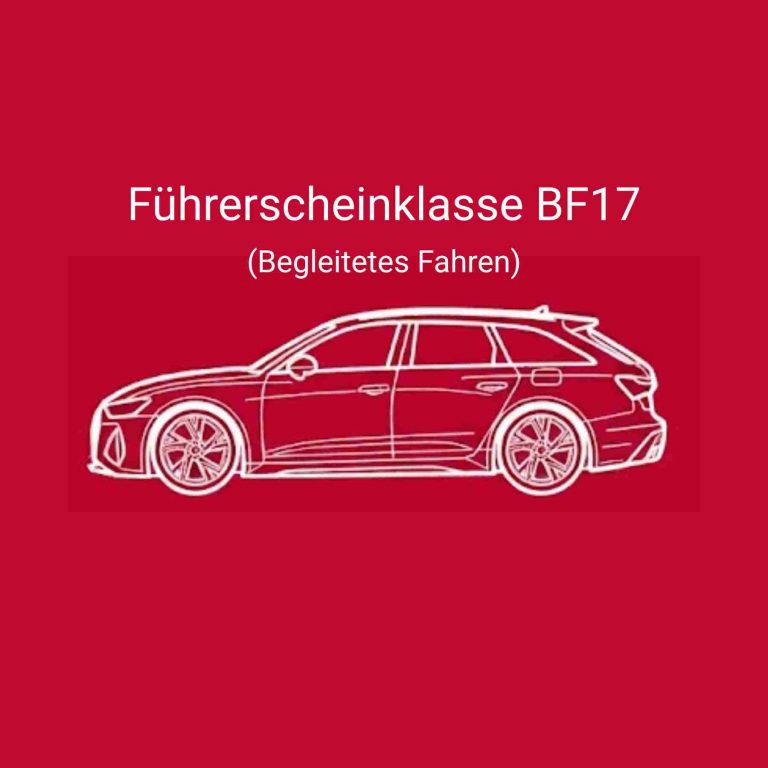 Führerscheinklasse BF17 Bergleitetes Fahren